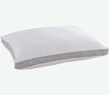 Indulgence by Isotonic Synthetic Down Pillow Side Sleeper Standard/Queen (20″x28″)