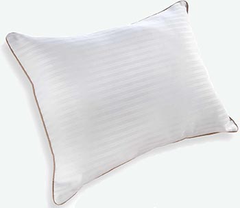 Indulgence by Isotonic Synthetic Down Pillow Stomach & Back Sleeper Standard/Queen (20 in x 28 in)