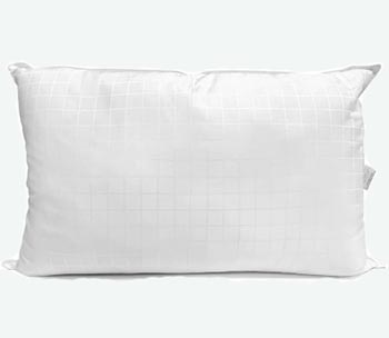 Carpenter Perfect Choice Gold Standard Pillow